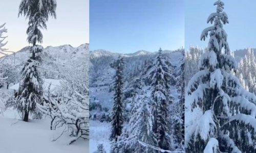 ഹിമാചല്‍ പ്രദേശില്‍ മഞ്ഞുവീഴ്ച