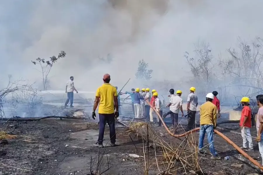 കഴക്കൂട്ടത്ത് സര്‍ക്കാര്‍ ഭൂമിയില്‍ കാടിന് തീപിടിച്ചു; നിയന്ത്രണവിധേയമാക്കാനുള്ള ശ്രമം തുടരുന്നു