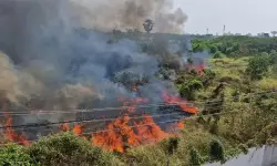 തിരുവനന്തപുരം മേനംകുളത്ത് തീപിടിത്തം