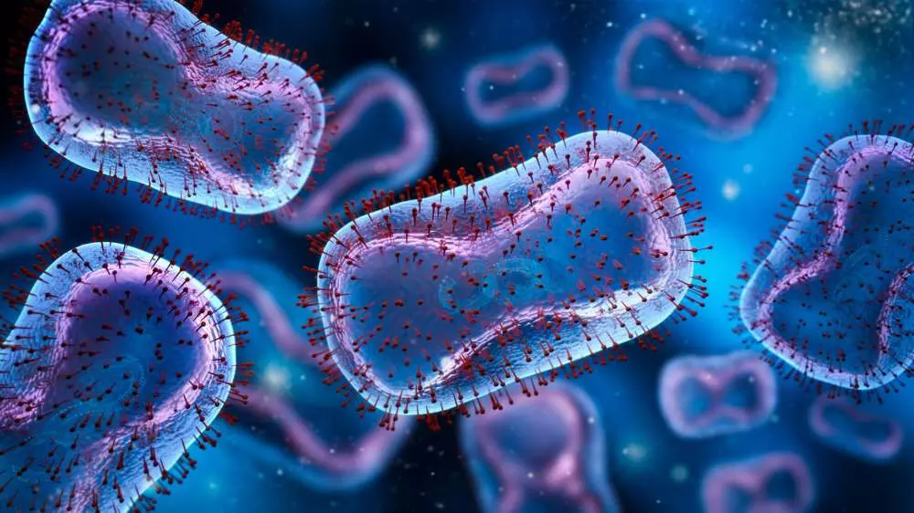 കുരങ്ങുപനി ബാധിച്ച് 29കാരന് മരിച്ചു; കര്ണാടകയിലേത് ഈ വര്ഷത്തെ ആദ്യ മരണം കുരങ്ങുപനി ബാധിച്ച് 29കാരന് മരിച്ചു; കര്ണാടകയിലേത് ഈ വര്ഷത്തെ ആദ്യ മരണം