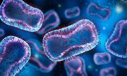 കുരങ്ങുപനി ബാധിച്ച് 29കാരന്‍ മരിച്ചു; കര്‍ണാടകയിലേത് ഈ വര്‍ഷത്തെ ആദ്യ മരണം