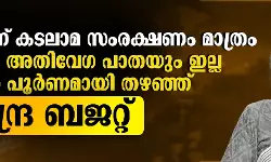 കടലാമ സംരക്ഷണത്തില്‍ ഒതുങ്ങി;  കേരളത്തിന് എയിംസും അതിവേഗ പാതയും ഇല്ല