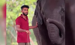 കോട്ടൂര്‍ ആന പരിപാലന കേന്ദ്രത്തില്‍ ആനയുടെ ചവിട്ടേറ്റ് പാപ്പാന്‍ മരിച്ചു