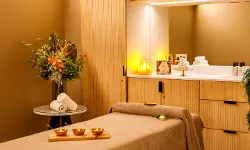 തലസ്ഥാനത്തെ അനധികൃത സ്പാ, മസാജ് കേന്ദ്രങ്ങള്‍ അടച്ചുപൂട്ടും