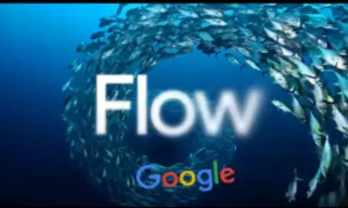 ഫ്‌ലോ എന്ന പേരില്‍ തര്‍ക്കം; ഗൂഗിളിനെതിരേ ഓട്ടോഡെസ്‌ക് കോടതിയില്‍