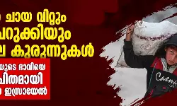 തെരുവില്‍ ചായ വിറ്റും വിറക് പെറുക്കിയും ഗസയിലെ കുരുന്നുകള്‍; വരും തലമുറയുടെ ഭാവിയെ വ്യവസ്ഥാപിതമായി നശിപ്പിക്കുന്ന ഇസ്രായേല്‍