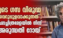 ജൂറിയുടെ ഗസ വിരുദ്ധ പരാമര്‍ശം വെറുപ്പുളവാക്കുന്നത്; ബെര്‍ലിന്‍ ചലച്ചിത്രമേളയില്‍ നിന്ന് പിന്മാറി അരുന്ധതി റോയ്
