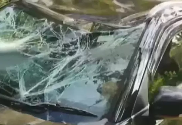 മൂന്നാറില് വീണ്ടും കാട്ടാന ആക്രമണം മൂന്നാറില് വീണ്ടും കാട്ടാന ആക്രമണം