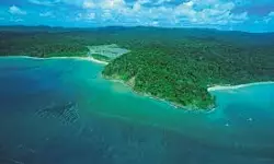 ഗ്രേറ്റ് നിക്കോബാര് പദ്ധതി: ഹരജികള് തള്ളി ദേശീയ ഹരിത ട്രൈബ്യൂണല് ഗ്രേറ്റ് നിക്കോബാര് പദ്ധതി: ഹരജികള് തള്ളി ദേശീയ ഹരിത ട്രൈബ്യൂണല്