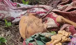 ആള്‍താമസമില്ലാത്ത വീടിന്റെ പിറകില്‍ കുഴിച്ചിട്ട നിലയില്‍ തലയോട്ടിയും അസ്ഥികളും കണ്ടെത്തി