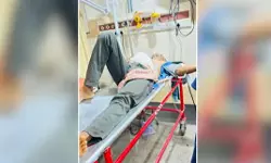 മലപ്പുറത്ത് കാട്ടുപന്നി ആക്രമണം; തോട്ടം തൊഴിലാളിക്ക് ഗുരുതര പരിക്ക്