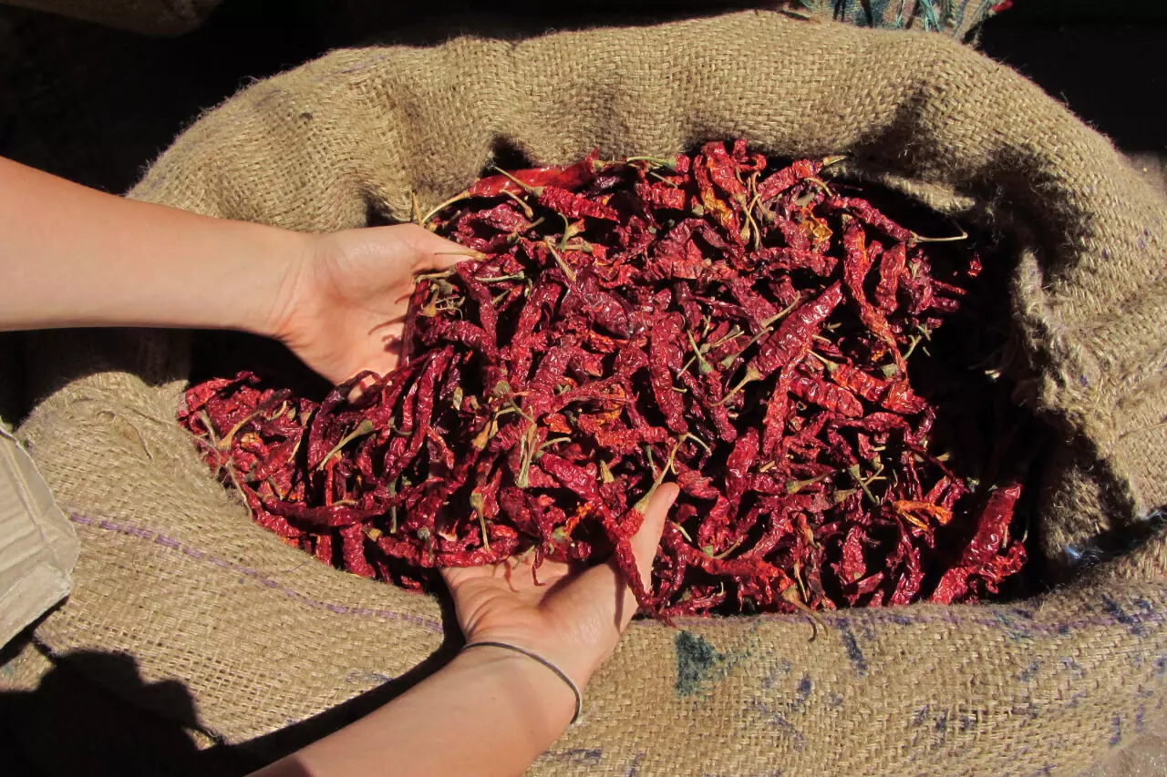 കര്ണാടകയില് ബ്യാദ്ഗി മുളകിന്റെ വിലയില് ചരിത്രകുതിപ്പ്, ക്വിന്റലിന് 89,999 രൂപ കര്ണാടകയില് ബ്യാദ്ഗി മുളകിന്റെ വിലയില് ചരിത്രകുതിപ്പ്, ക്വിന്റലിന് 89,999 രൂപ