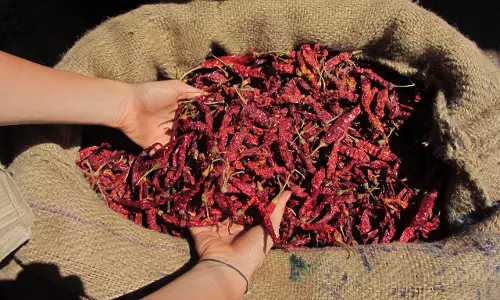 കര്‍ണാടകയില്‍ ബ്യാദ്ഗി മുളകിന്റെ വിലയില്‍ ചരിത്രകുതിപ്പ്, ക്വിന്റലിന് 89,999 രൂപ