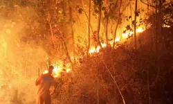 കോടശ്ശേരി പഞ്ചായത്തിലെ പീലാര്മുഴിയില് വീണ്ടും തീപിടിത്തം കോടശ്ശേരി പഞ്ചായത്തിലെ പീലാര്മുഴിയില് വീണ്ടും തീപിടിത്തം