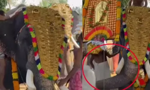 ക്ഷേത്ര ഉല്‍സവത്തിനിടയില്‍ ആനയിടഞ്ഞു; യുവാവിന് പരിക്ക്