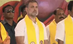 വിട്ടുവീഴ്ചയും ക്ഷമയുമാണ് ഭരണഘടനയുടെ അന്തസത്ത: രാഹുല്‍ ഗാന്ധി