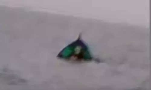 പുതുവൈപ്പില് മല്സ്യബന്ധന ബോട്ട് മുങ്ങി; ഒരാള്ക്ക് ദാരുണാന്ത്യം പുതുവൈപ്പില് മല്സ്യബന്ധന ബോട്ട് മുങ്ങി; ഒരാള്ക്ക് ദാരുണാന്ത്യം