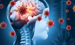 യുകെയില്‍ മെനിഞ്ചൈറ്റിസ് ബാധിച്ച് രണ്ട് വിദ്യാര്‍ഥികള്‍ മരിച്ചു