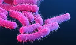 കോഴിക്കോട്ട് മരിച്ച മൂന്നര വയസുകാരിക്ക് ഷിഗല്ല