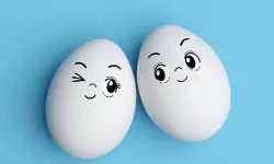 മുട്ടയുടെ പുറംതോടില്‍ കാലാവധി രേഖപ്പെടുത്തണം; ഗുണനിലവാരം ഉറപ്പാക്കാന്‍ പുതിയ നിയമം