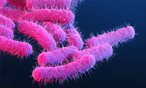 കോഴിക്കോട്ട് മരിച്ച മൂന്നര വയസുകാരിക്ക് ഷിഗല്ല