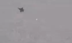 യുഎസ് എഫ്18 വിമാനം വെടിവച്ചിട്ടതായി ഇറാന്‍