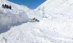 ലഡാക്കിലെ സോജി ലാ പാസില്‍ മഞ്ഞുവീഴ്ച: ഏഴുമരണം, ശ്രീനഗര്‍-ലേ ഹൈവേ അടച്ചു