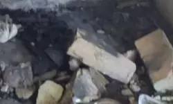 ഗ്യാസ് സിലിണ്ടര്‍ പൊട്ടിത്തെറിച്ചു; രണ്ടു പേര്‍ക്ക് പരിക്ക്