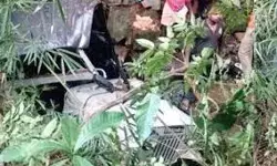 കുരിശിന്റെ വഴി യാത്രയ്ക്കിടെ അപകടം; അടിമാലിയില്‍ ജീപ്പ് താഴ്ചയിലേക്ക് മറിഞ്ഞ് എട്ടുപേര്‍ക്ക് പരിക്ക്