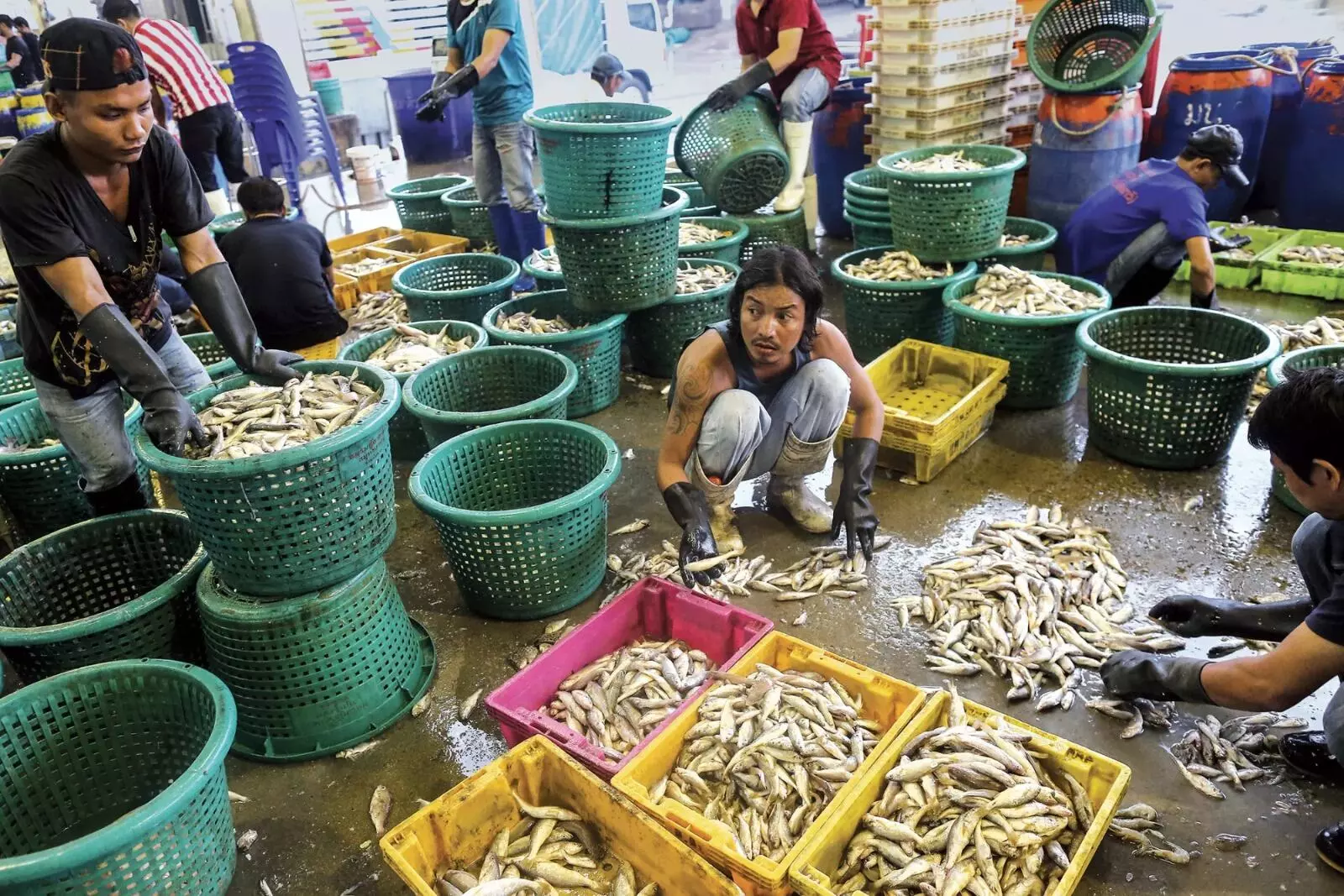 ഡീസല് വില വര്ധന; തായ്ലന്ഡിലെ മല്സ്യബന്ധന വ്യവസായം തകര്ച്ചയുടെ വക്കില് ഡീസല് വില വര്ധന; തായ്ലന്ഡിലെ മല്സ്യബന്ധന വ്യവസായം തകര്ച്ചയുടെ വക്കില്
