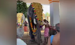 ക്ഷേത്ര ഉല്‍സവത്തിനിടെ ആനയിടഞ്ഞു; പാപ്പാനെ ചവിട്ടിക്കൊന്നു