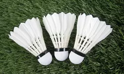 പക്ഷിപ്പനി; തൂവലുകള് കിട്ടാനില്ല, ബാഡ്മിന്റന് മല്സരങ്ങളില് സിന്തറ്റിക് കോക്കുകള് ഉപയോഗിക്കും പക്ഷിപ്പനി; തൂവലുകള് കിട്ടാനില്ല, ബാഡ്മിന്റന് മല്സരങ്ങളില് സിന്തറ്റിക് കോക്കുകള് ഉപയോഗിക്കും