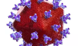 സ്റ്റെം സെല് തെറാപ്പി; എച്ച്ഐവിയില് നിന്ന് പൂര്ണ മുക്തി നേടി ഓസ്ലോ പേഷ്യന്റ് സ്റ്റെം സെല് തെറാപ്പി; എച്ച്ഐവിയില് നിന്ന് പൂര്ണ മുക്തി നേടി ഓസ്ലോ പേഷ്യന്റ്