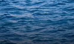 മല്‍സ്യബന്ധനത്തിനിടെ കടലില്‍ വച്ച് ശ്വാസതടസ്സം; ഒരാള്‍ മരിച്ചു, മൂന്നു പേര്‍ അബോധാവസ്ഥയില്‍