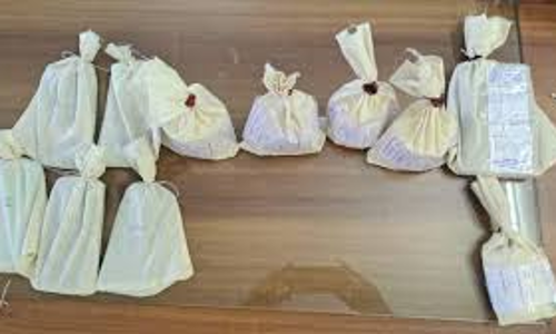 സദാചാര പോലിസ് ചമഞ്ഞ് ആക്രമണം; ജാമ്യത്തിലിറങ്ങി എംഡിഎംഎ കച്ചവടം; തമ്പുരു വിഷ്ണു പിടിയില്‍