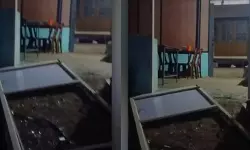 തൃശൂരില്‍ കാട്ടാന ഹോട്ടല്‍ ആക്രമിച്ച് സാധനങ്ങള്‍ നശിപ്പിച്ചു