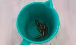 പേട്ട റെയില്‍വേ ആശുപത്രിയില്‍ ഏഴ് വെടിയുണ്ടകള്‍ കണ്ടെത്തി