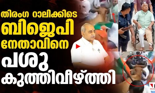 ബിജെപി നേതാവിനെ പശു കുത്തിവീഴ്ത്തി