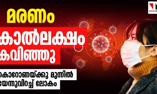 മരണം കാൽ ലക്ഷം കടന്നു : കൊറോണയ്ക്കു മുന്നിൽ പേടിച്ചുവിറച്ച് ലോകം