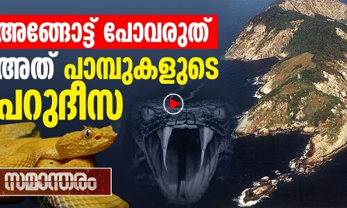 പാമ്പുകൾക്ക് മാളമല്ല; ഒരു ദ്വീപ് തന്നെ ഉണ്ട്