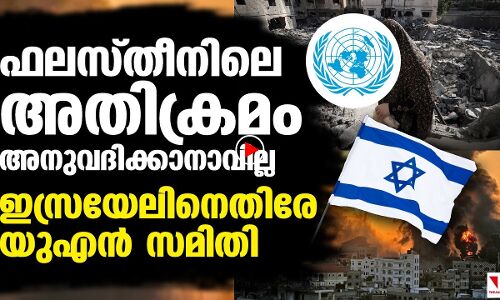 ഇസ്രായേലിനെതിരേ യുഎന്‍ സമിതി
