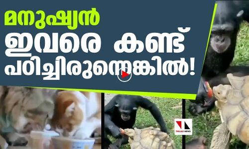 മനുഷ്യാ ഇവരെ കണ്ട് പഠിക്കൂ