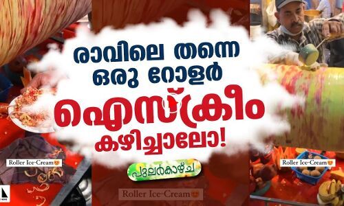 ഇതെന്തുതരം ഐസ്‌ക്രീം ആണ് ?