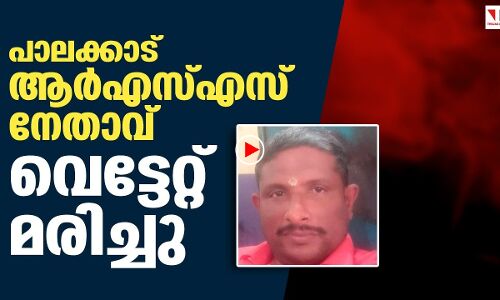 പാലക്കാട്ട് ആര്‍എസ്എസ് നേതാവ് വെട്ടേറ്റു മരിച്ചു