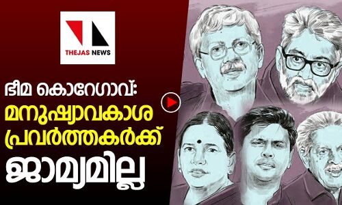 മനുഷ്യാവകാശ പ്രവര്‍ത്തകര്‍ക്ക് ജാമ്യമില്ല