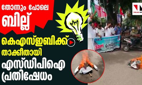 തോന്നിയതുപോലെ വൈദ്യുതി നിരക്ക്, പ്രതിഷേധവുമായി എസ് ഡിപിഐ