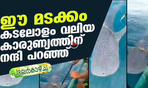 കടലോളം കാരുണ്യത്തിനു നന്ദി; ഇനി ഞാന്‍ മടങ്ങട്ടെ!