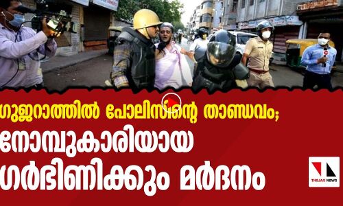 ഗർഭിണിയെപോലും തല്ലിച്ചതച്ച് ഗുജറാത്ത് പോലിസിന്റെ മുസ്‌ലിം വേട്ട