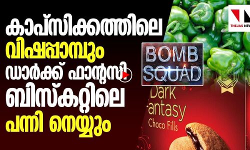 കാപ്‌സിക്കത്തിലെ വിഷപ്പാമ്പും ഡാര്‍ക്ക് ഫാന്റസി ബിസ്കറ്റിലെ പന്നി നെയ്യും