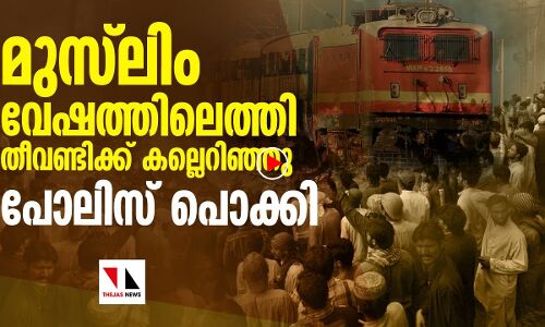 മുസ്‌ലിം വേഷം ധരിച്ച് ട്രെയിന്‍ ആക്രമിച്ചു: പിടിയിലായി